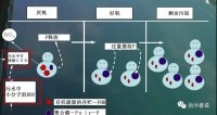 關(guān)于除磷的微生物菌